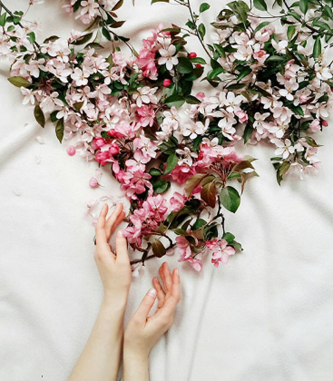 Contact Zephyr Studio