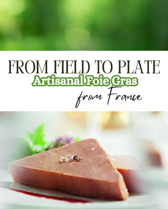 Froggy Gourmet visuel 1