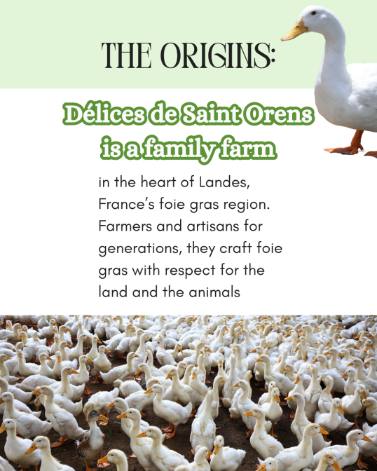 Froggy Gourmet visuel 2