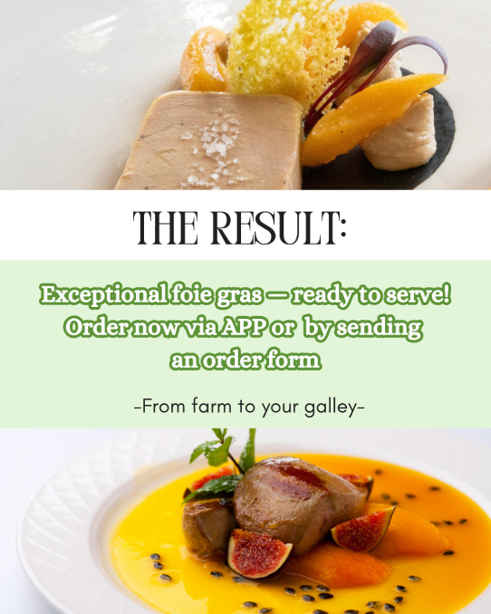 Froggy Gourmet visuel 4