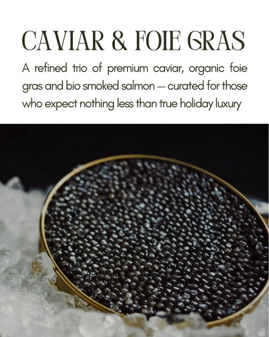 Froggy Gourmet visuel 5